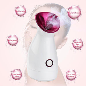 Facial Steamer