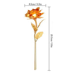 Gold Plated Rose - 24k Golden Rose