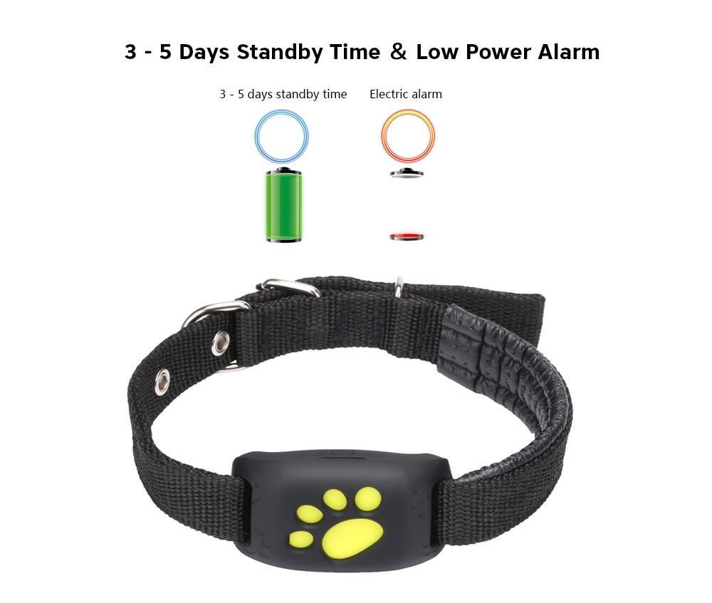 GPS Track Collar