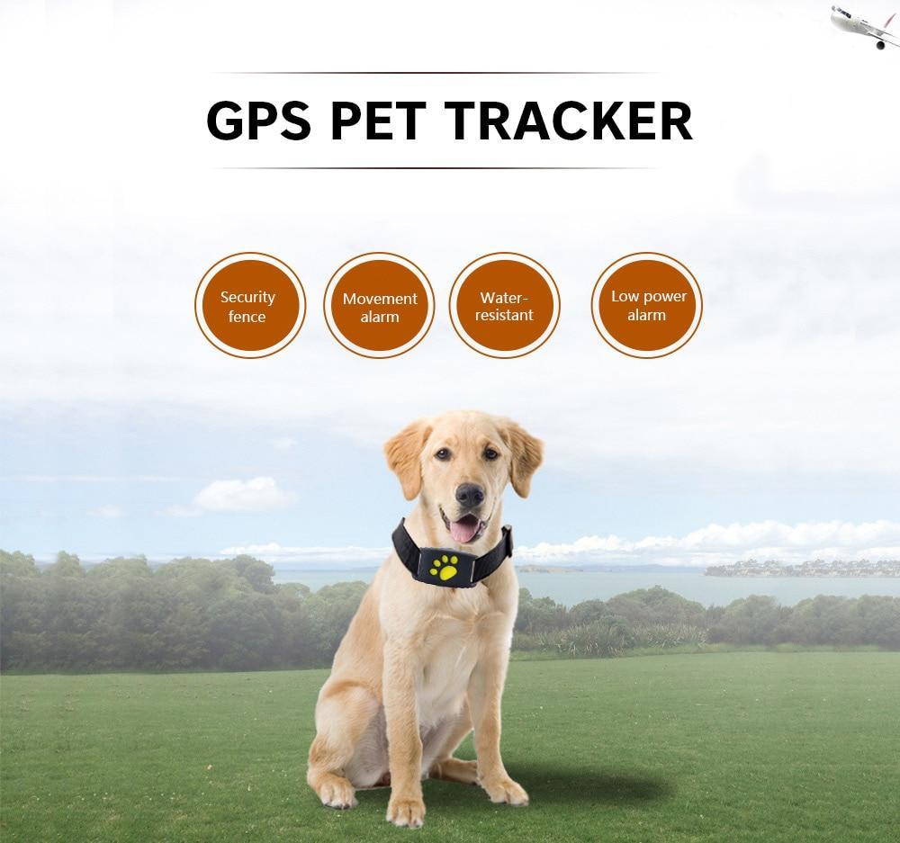 GPS Track Collar