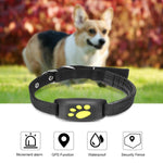 GPS Track Collar