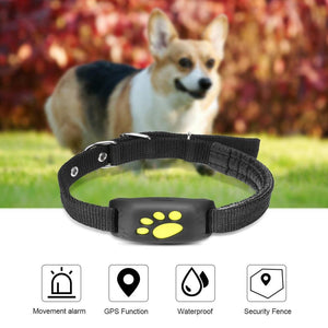 GPS Track Collar