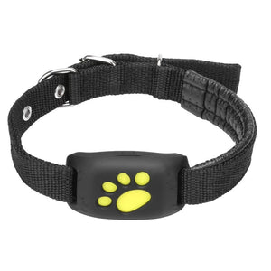 GPS Track Collar