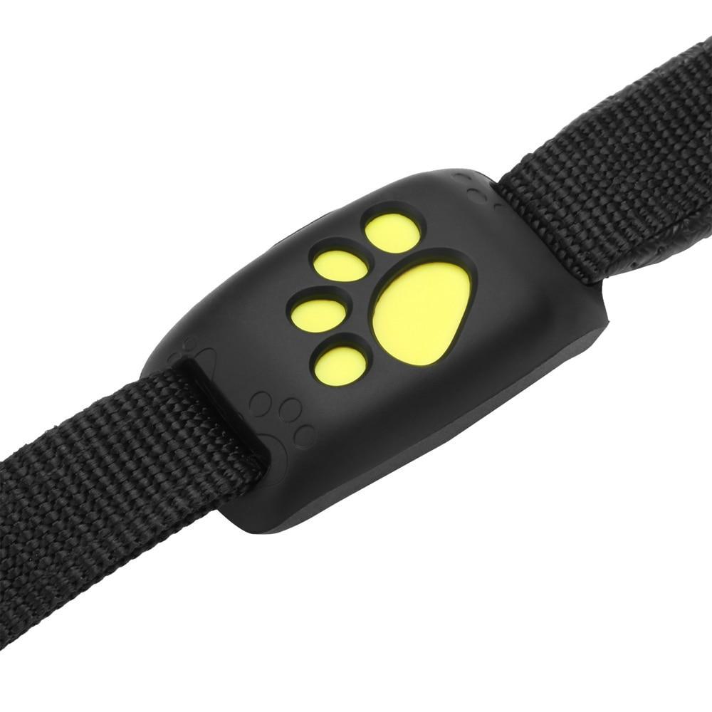 GPS Track Collar