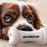 Interactive Smart Dog Toy