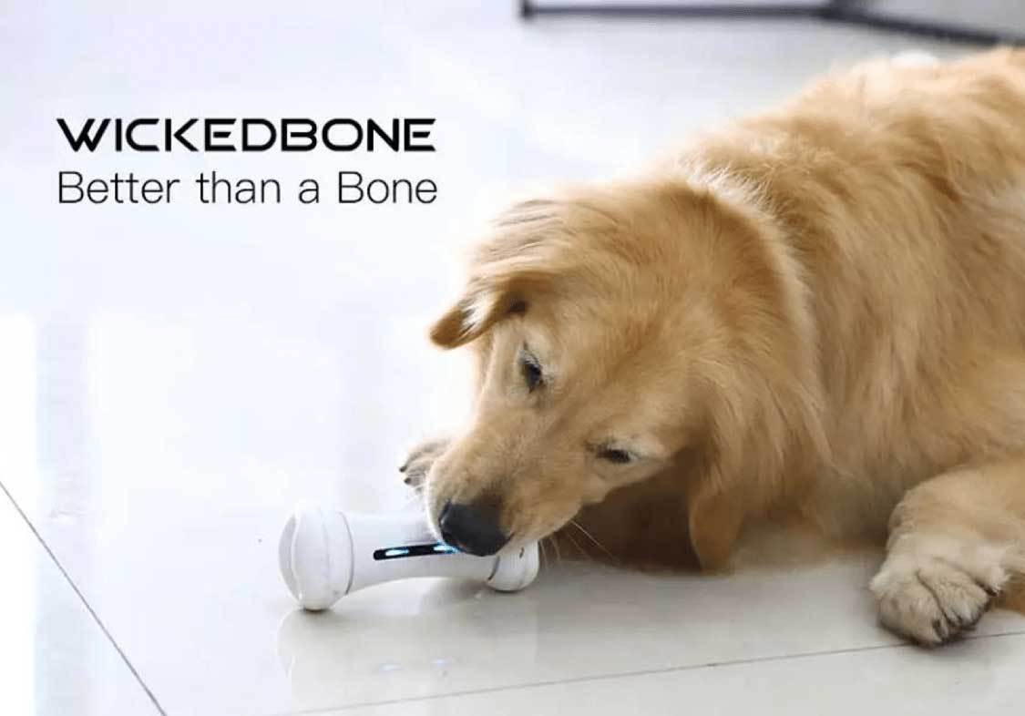 Interactive Smart Dog Toy