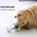 Interactive Smart Dog Toy