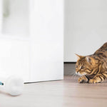 Interactive Smart Dog Toy