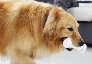 Interactive Smart Dog Toy