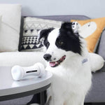 Interactive Smart Dog Toy