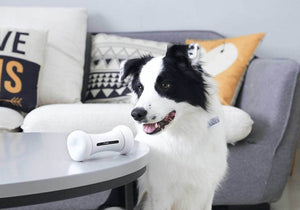 Interactive Smart Dog Toy