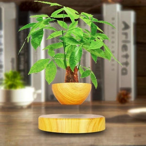 Levitating Bonsai- Magnetic Floating Plant Pot