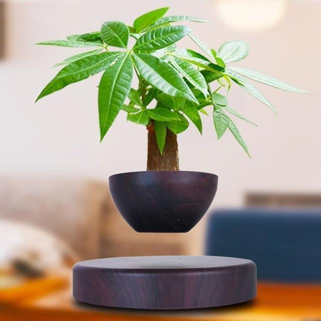 Levitating Bonsai- Magnetic Floating Plant Pot