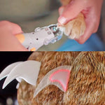 Dog Nail Clippers with LED Lights