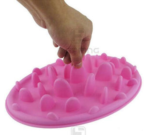 Slow Feeder Pet Bowl