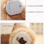 Original Peek-a-Boo Teddy Bear