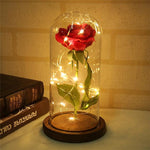 Enchanted Rose Flower LED Lamp