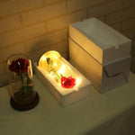 Enchanted Rose Flower LED Lamp