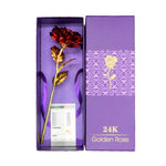 24k Gold Trimmed Rose
