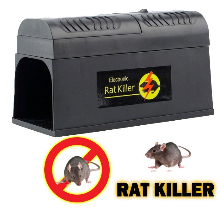 The Best Electric Mouse Trap