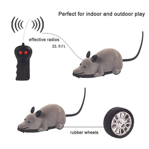 Remote Control Rat