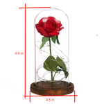 The Original Beauty And The Beast Rose