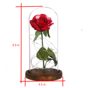 The Original Beauty And The Beast Rose