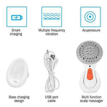 Electric Waterproof Head Scalp Massager For Hair Growth And Relaxation