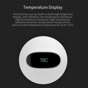 Multi- Function Smart Water Bottle 525ml - Instant Temperature Display Water Bottle