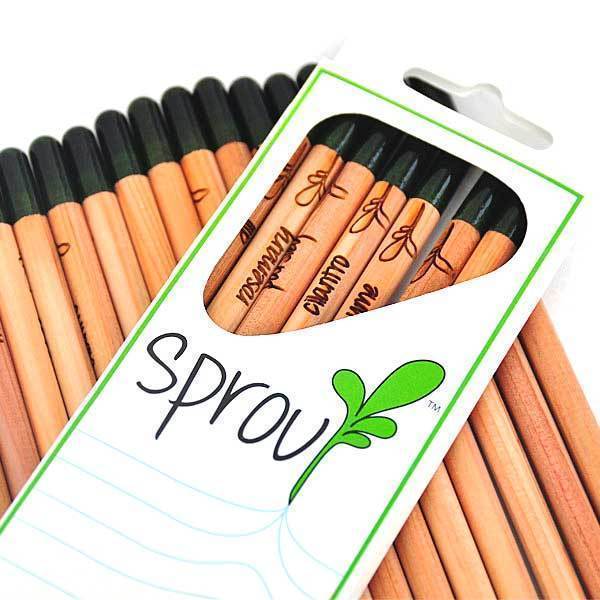 Sprout Pencils (Box of 8)