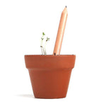Sprout Pencils (Box of 8)