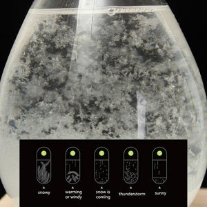 WEATHER PREDICTING STORM GLASS