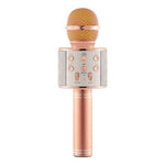 Portable Bluetooth Karaoke Microphone With Bluetooth Speaker