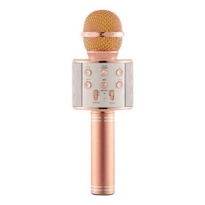 Portable Bluetooth Karaoke Microphone With Bluetooth Speaker