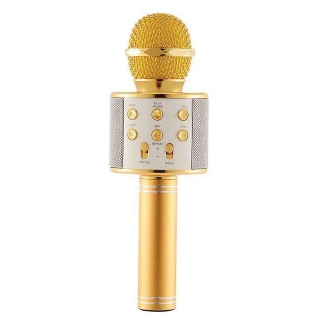 Portable Bluetooth Karaoke Microphone With Bluetooth Speaker